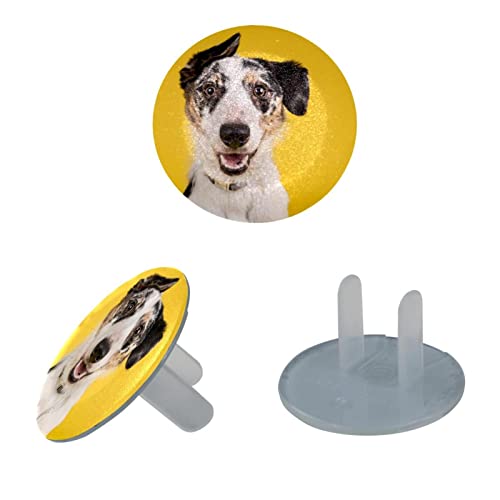 24 Опаковки, Покривала за Контакти със Забавна Бяло Куче на Жълт Фон За Защита от деца | Сигурните Защитни Електрически Контакти | Трайни Защитни Калъфи за Ключове за