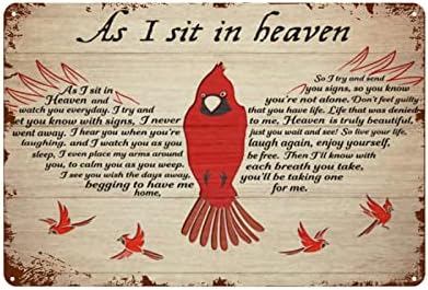 Стара Лидице Знак Gexlly Cardinal, Паднал От Небето, когато аз Седнах На Небето. Декорация на стени у дома. Знак за Украса на дома