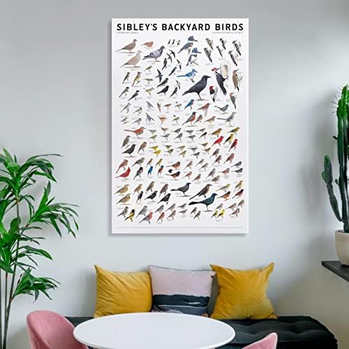 Sibley Задния двор Птици от Източната част на Северна Америка Плакат Декоративна Живопис на Платното за монтаж на стена Арт Плакати