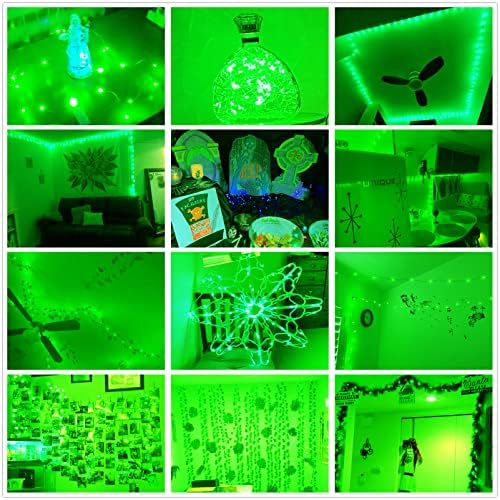 Ranlraka Green 2 опаковки Подарък за Деня на Майката Гирлянди, работещи На Батерии Интериор на Стаята за Момичета 7 фута, 20 Led Приказни Светлини, Коледни Светлини, Венец Вен?
