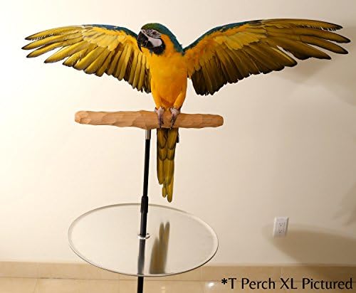 Поставка за костур, за дресура на папагали с една тава за Саксии (Голям Т-Образен костур от твърда дървесина)