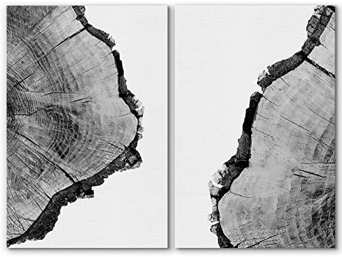 SIGNWIN Платно Монтиране на Изкуството на Черно-бели Дървета Пръстен с Подробни Принтом Природата е Дива Местността Смесена Техника