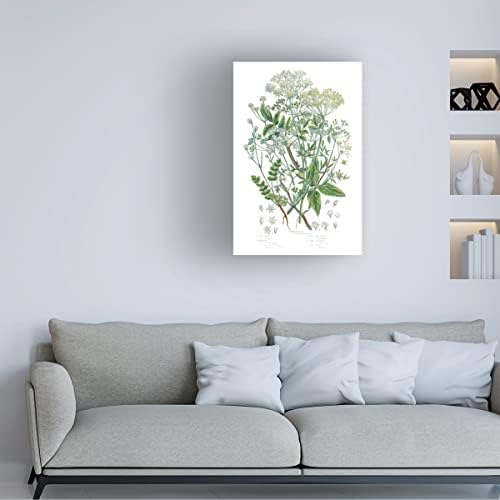 Търговска марка на Fine Art 'Цъфтящи растения I' Платно арт портфолио от Wild Apple 22x32